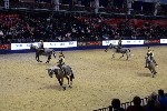 Quadrille - 00749